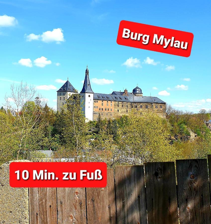 Ferienwohnung "Blick Mylau" - Naehe Freizeitpark Plohn & Weltgroesster Ziegelsteinbruecke Reichenbach im Vogtland Exterior photo