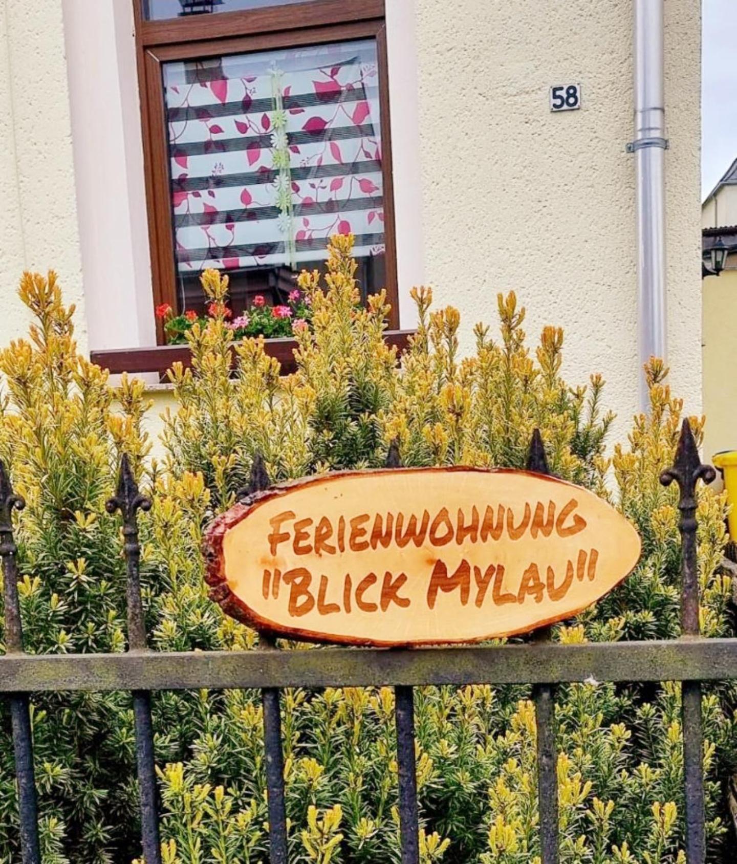 Ferienwohnung "Blick Mylau" - Naehe Freizeitpark Plohn & Weltgroesster Ziegelsteinbruecke Reichenbach im Vogtland Exterior photo
