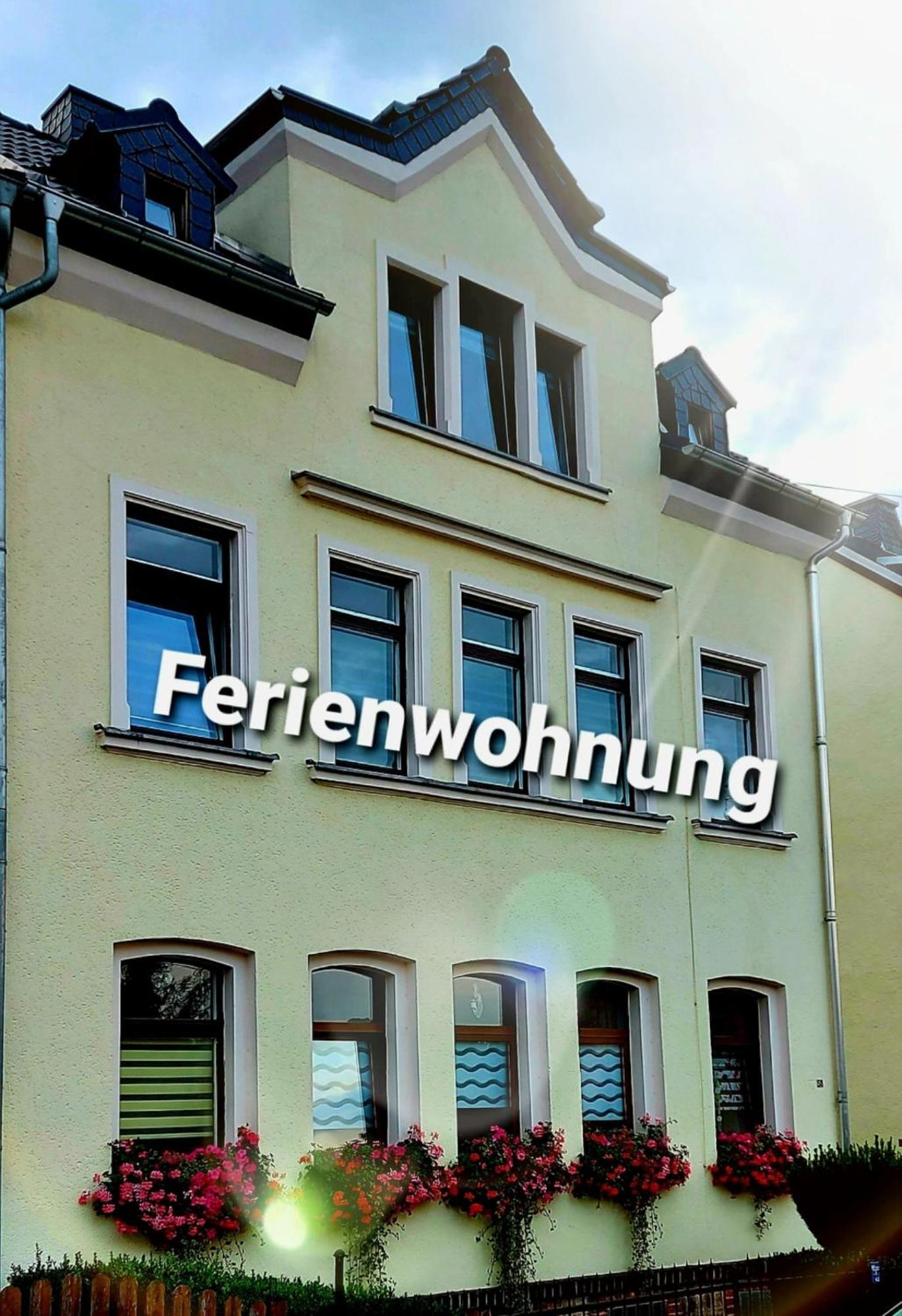Ferienwohnung "Blick Mylau" - Naehe Freizeitpark Plohn & Weltgroesster Ziegelsteinbruecke Reichenbach im Vogtland Exterior photo